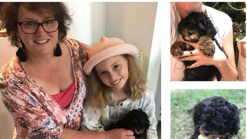 Suicide | Julie Crawford's 12-year-old daughter, Ella Crawford died, Lota, QLD | GoFundMe